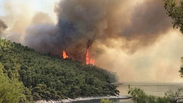 Φωτιά σε δασική έκταση στους Κωφούς