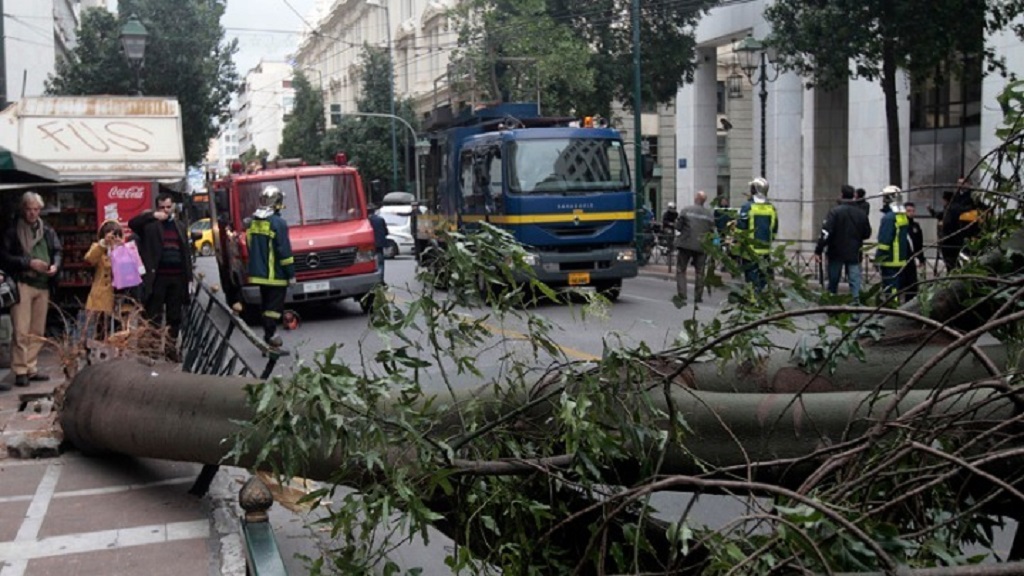 Ισχυροί άνεμοι σάρωσαν την Ήπειρο το βράδυ – 26 κοπές δέντρων και επεμβάσεις της πυροσβεστικής σε Άρτα, Πρέβεζα, Θεσπρωτία και Ιωάννινα