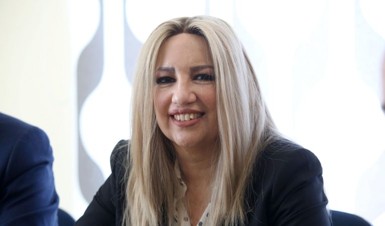 Φ. Γεννηματά: Είναι όσο ποτέ αναγκαίος ο διάλογος και η εθνική συνεννόηση