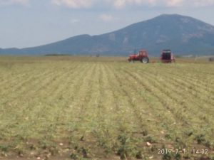 Κομοτηνή:Απαραίτητη  η προστασία φυτικής παραγωγής και κτηνοτροφικών υποδομών