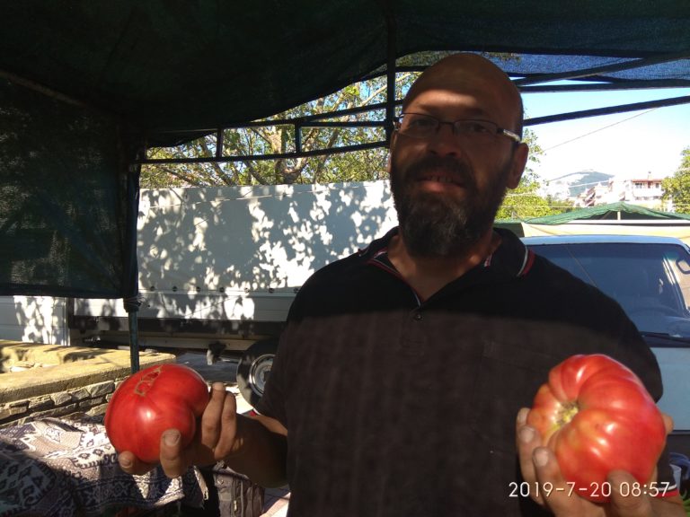 Κομοτηνή: Καλλιεργεί ντομάτες με έθνικ μουσική