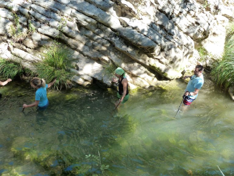 Καλαμάτα: Δράσεις πεζοπορικού τμήματος του “Ευκλή”