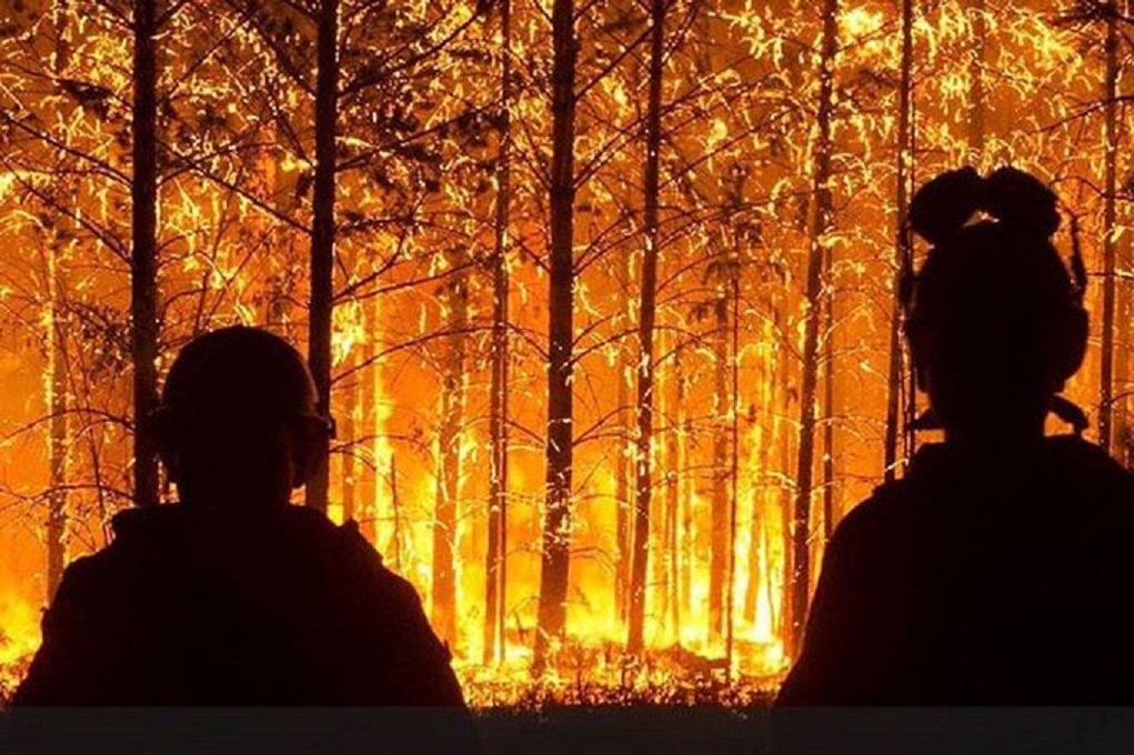 Μαίνονται 300 πυρκαγιές στη Σιβηρία (video)
