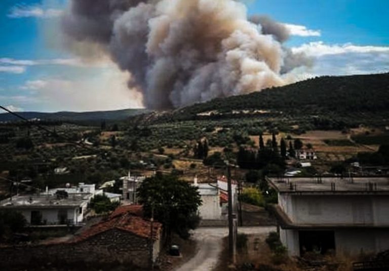 Ύφεση παρουσιάζει η φωτιά στην Τανάγρα