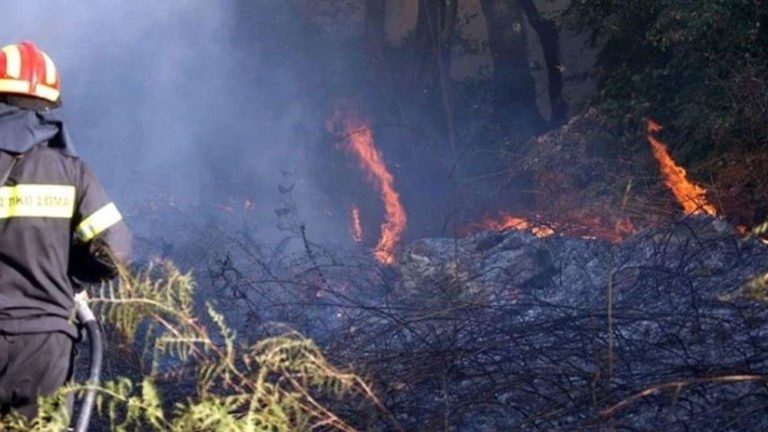 Ηράκλειο: Σε εξέλιξη πυρκαγιά στο Δήμο Γόρτυνας