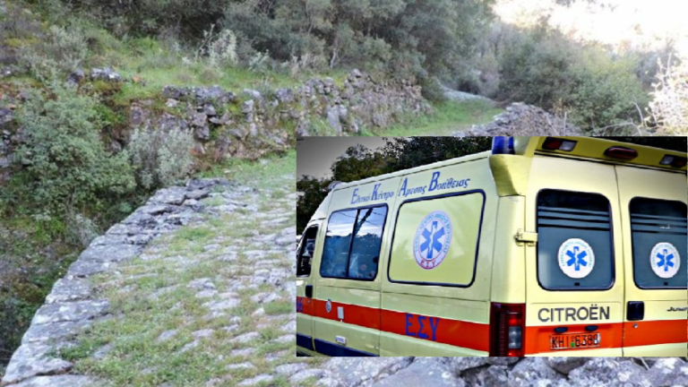 Έπεσε νεκρός σε καλντερίμι της Πορταριάς