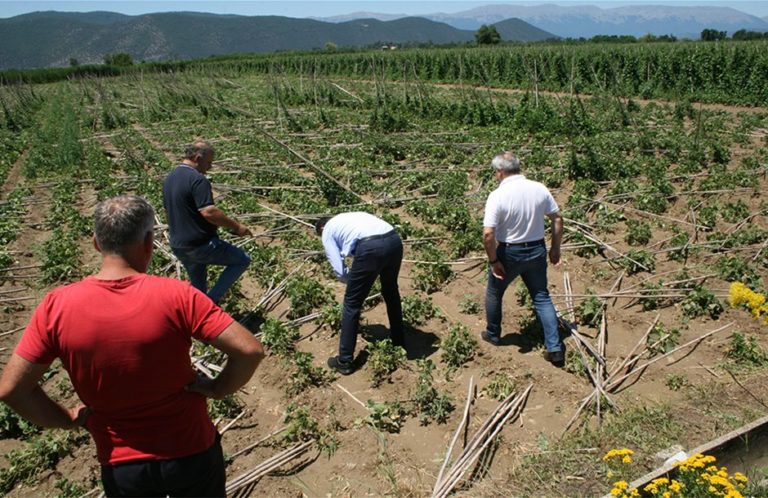 Πρέσπες: Ερώτηση βουλευτών του ΚΚΕ για τις αποζημιώσεις των παραγωγών