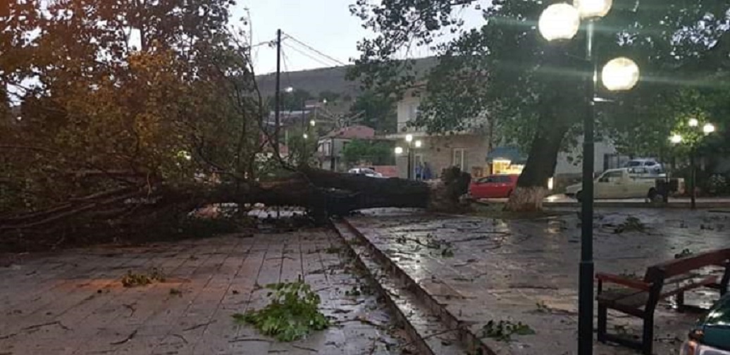 Πρέσπα: Ζημιές σε καλλιέργειες - Έπεσαν δέντρα από τον αέρα - ertnews.gr