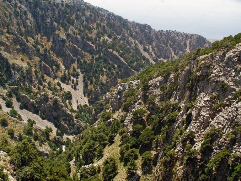 Χανιά: Απαγόρευση κυκλοφορίας σε δάση και ευαίσθητες περιοχές