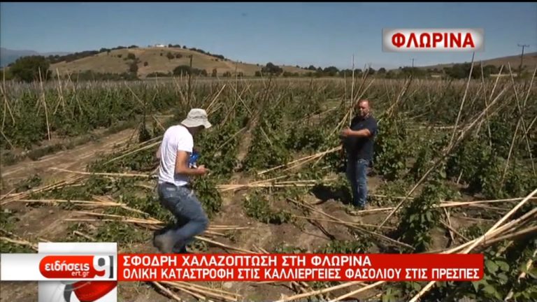 Χαλαζοπτώσεις σε Ροδόπη, Ημαθία, Λάρισα, Αλεξανδρούπολη – 9.000 κεραυνοί στην Κέρκυρα (video)