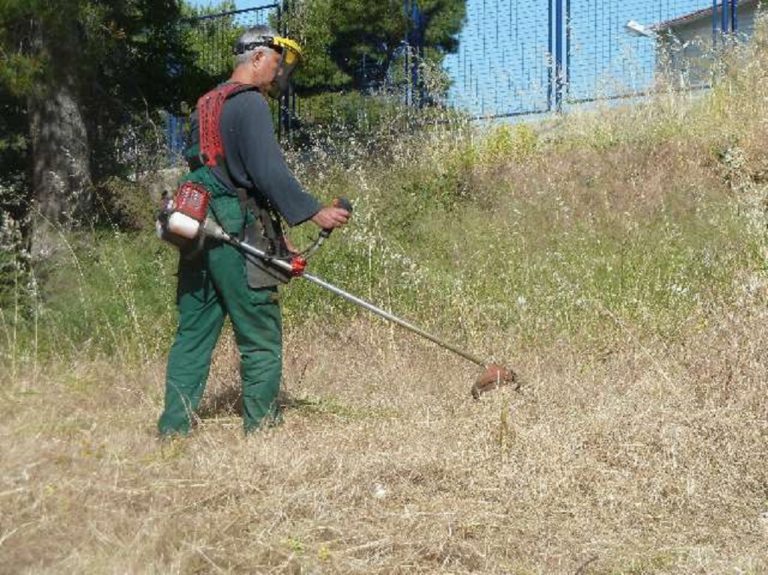 Ηλεία: Μέχρι 30 Απριλίου ο καθαρισμός από ξερά χόρτα – Πρόστιμα στους παραβάτες