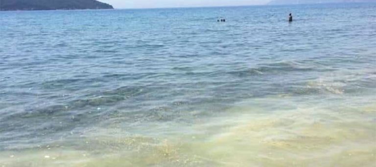 Ζάκυνθος: Καταγγελία Ένωσης Γονέων για την θαλάσσια ρύπανση