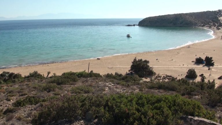 Απίστευτο: Ενοικιάζουν τον ίσκιο των δέντρων στο Σαρακήνικο Γαύδου