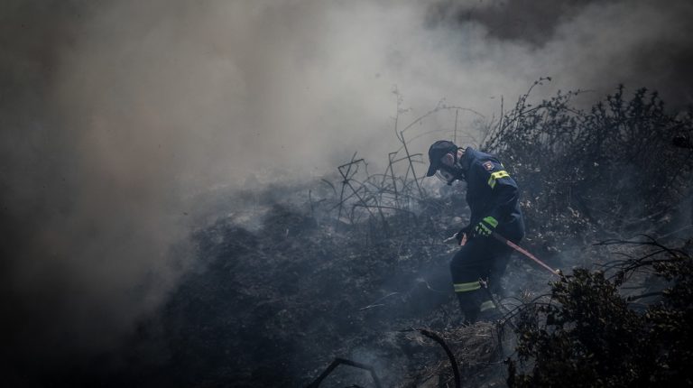 Έσβησαν οι φωτιές στην Εύβοια, στάχτη χιλιάδες στρέμματα – Συλλήψεις για εμπρησμούς (video)