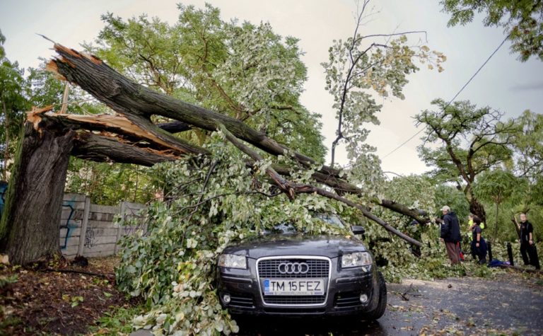 Καταστροφές σε οδικούς άξονες, πτώσεις δέντρων από τους θυελλώδεις ανέμους στη Ρουμανία