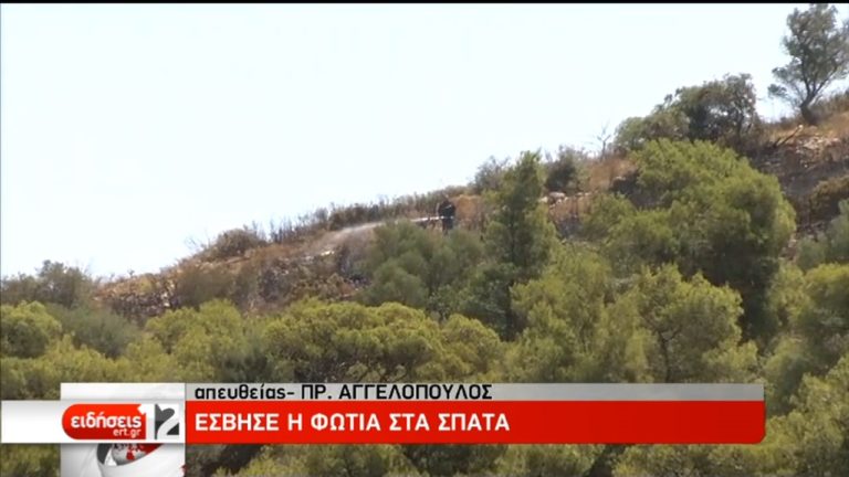 Υπό πλήρη έλεγχο η φωτιά στα Σπάτα (video)