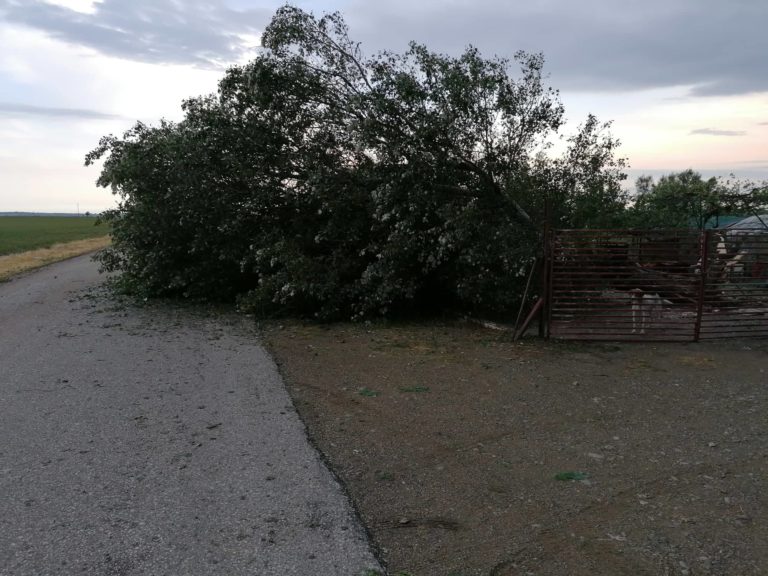 Κομοτηνή: ΕΡΤ Ειδήσεις 11-7-2019