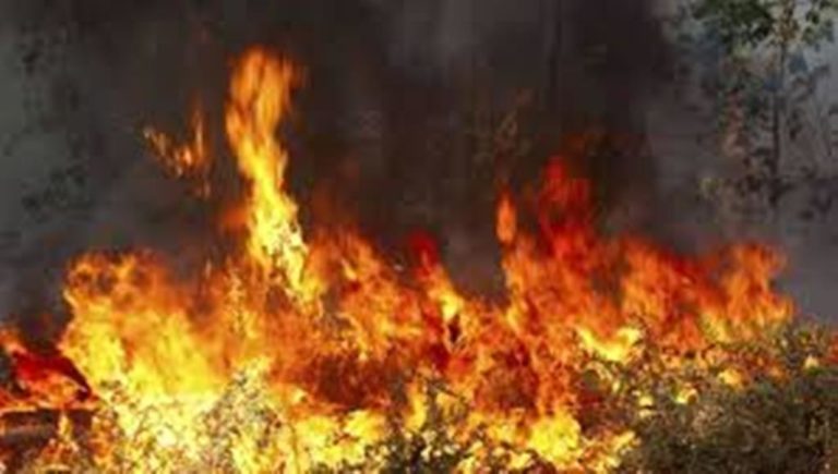Πτολεμαΐδα: Κάηκαν 21 στρέμματα θερισμένων σιτηρών