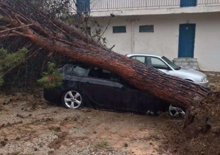 Αλεξανδρούπολη: Καταγραφή ζημιών που προκάλεσε το χθεσινό μπουρίνι