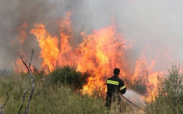 Σε εξέλιξη φωτιά στη Νικήτη στη Σιθωνία Χαλκιδικής