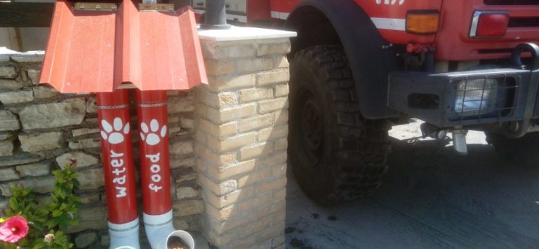 Έκαναν πράξη την αγάπη τους για τα ζώα