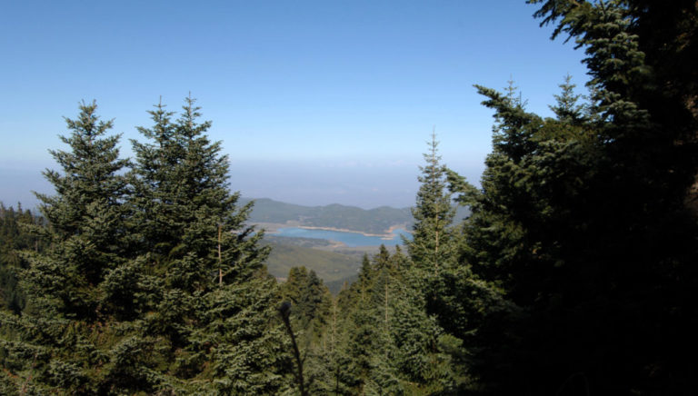 Κεφαλονιά: Απαγόρευση κυκλοφορίας οχημάτων – εκδρομέων στον Αίνο