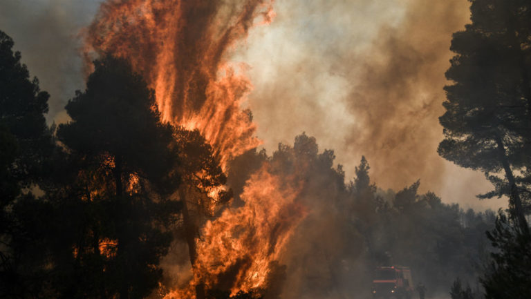 Εκτός ελέγχου η φωτιά στην Εύβοια-Εκκένωση χωριών-Υπεράνθρωπες προσπάθειες (video)