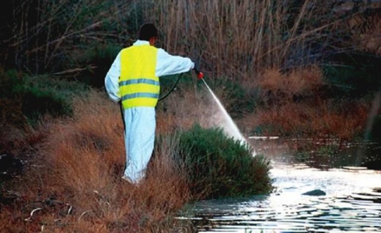 Αυξημένος αριθμός ιπτάμενων κατσαρίδων στη Λάρισα – Τι λέει η ΔΕΥΑ
