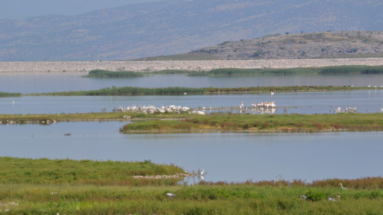 Νέα έργα στη λίμνη Κάρλα από την Περιφέρεια Θεσσαλίας προϋπολογισμού 2 εκ. ευρώ