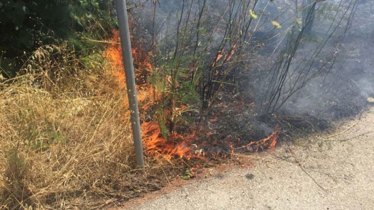 Φωτιά σε θαμνώδη έκταση μεταξύ Ανθοτόπου και Νεράιδας στον Αλμυρό