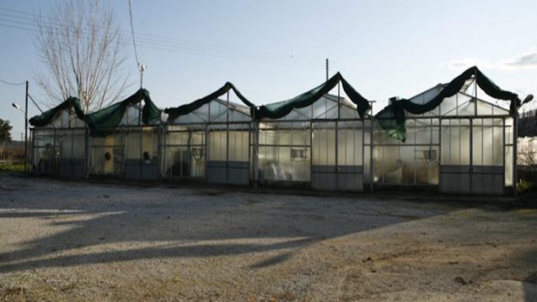 Ημέρα ανοιχτής επίσκεψης στο Αγρόκτημα του Π.Θ. την Κυριακή 8 Σεπτεμβρίου