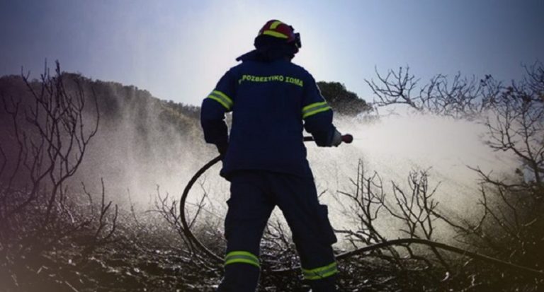 Πυρκαγιά σε δασική έκταση στις Σπέτσες τέθηκε υπό μερικό έλεγχο