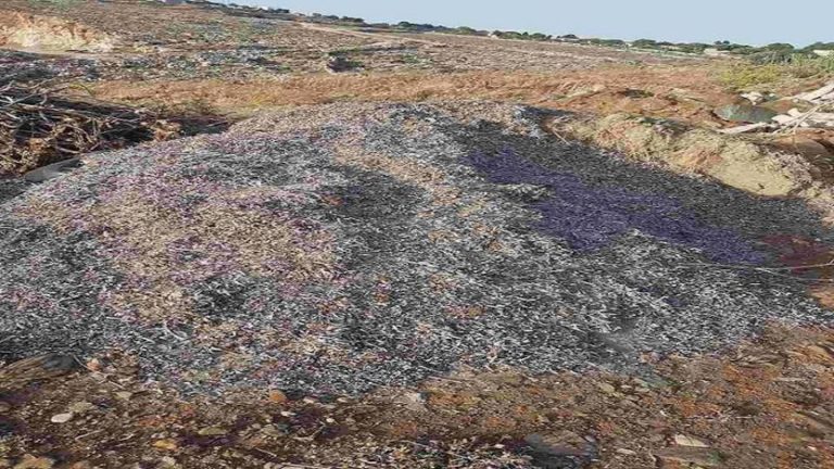 Για μόλυνση του περιβάλλοντος συνελήφθησαν τέσσερα άτομα