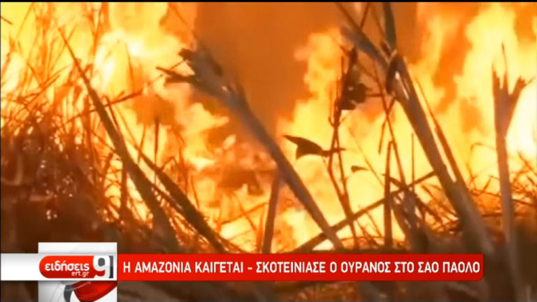 Καίγεται η Αμαζονία – Σκοτείνιασε ο ουρανός στο Σάο Πάολο (video)