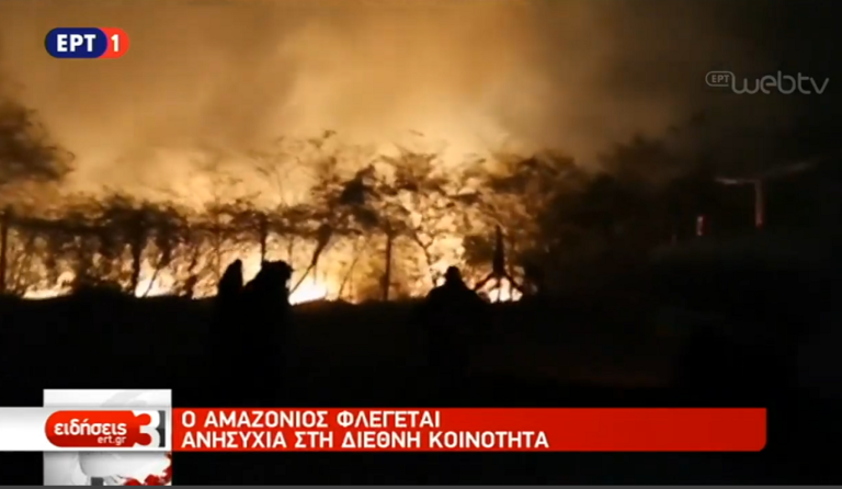 Αμαζόνιος: Ανησυχία στη διεθνή κοινότητα για τις πυρκαγιές (video)