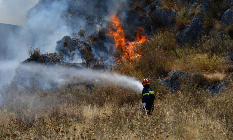 Σημαντικά περιορισμένες οι καμένες δασικές εκτάσεις το 2019