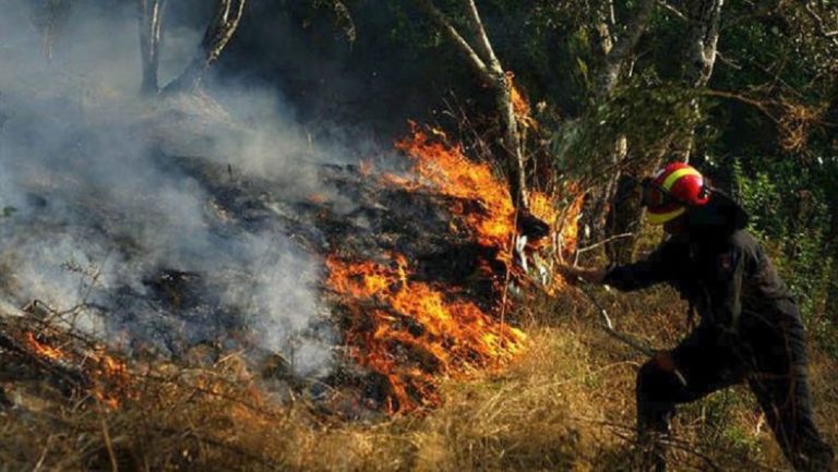 Δύο φωτιές σε Βατούσα και Άντισσα Λέσβου
