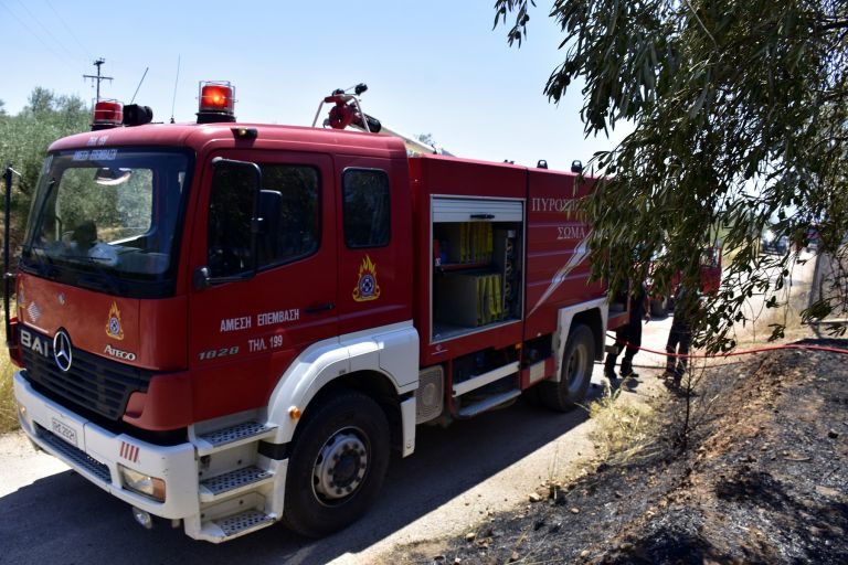 Ενίσχυση της αντιπυρικής προστασίας στο Αμύνταιο