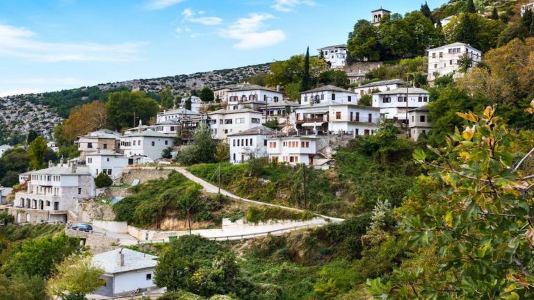 Π.Θ.: Διεθνής ερευνητική συνάντηση στη Μακρινίτσα στις 21 Αυγούστου