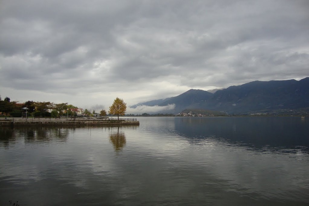 pamvotida-
