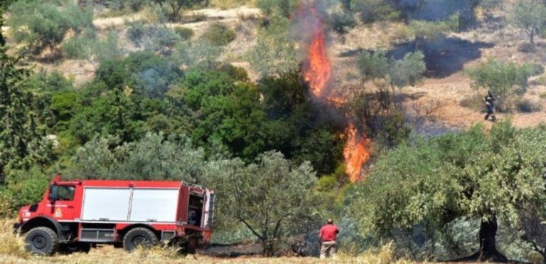 Ρέθυμνο: Υπό μερικό έλεγχο η φωτιά στον Άγιο Βασίλειο – Ξεκίνησε από… αντικρυστό;; (audio)