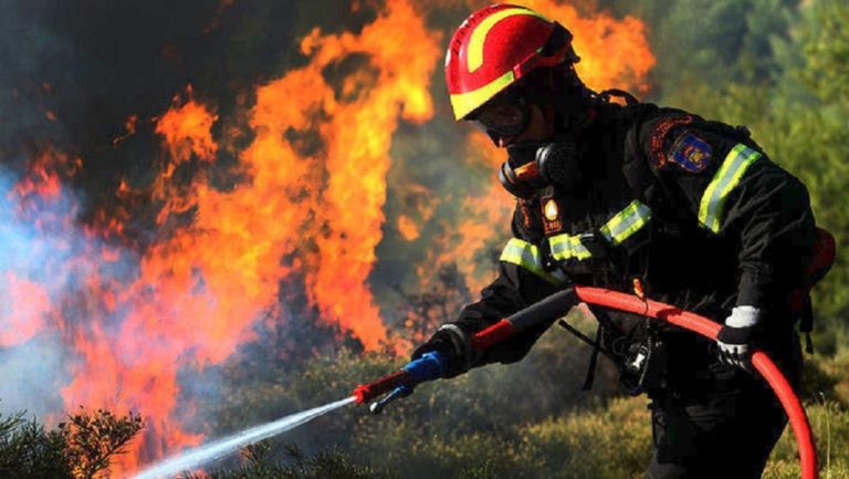Πολίτες και Πυροσβέστες κατά των πυρκαγιών