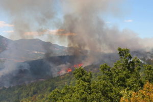 Κοζάνη:  Καίγεται περιοχή του Λογγά Ελάτης