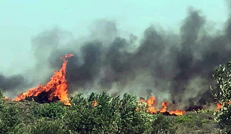 Σε ύφεση η φωτιά στην Ελαφόνησο – Πολύ υψηλός κίνδυνος λόγω ανέμων (video)