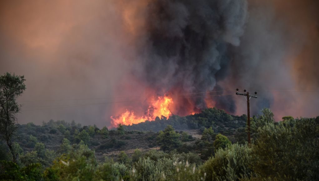 Υπό μερικό έλεγχο η πυρκαγιά σε δασική έκταση στην Αργολίδα