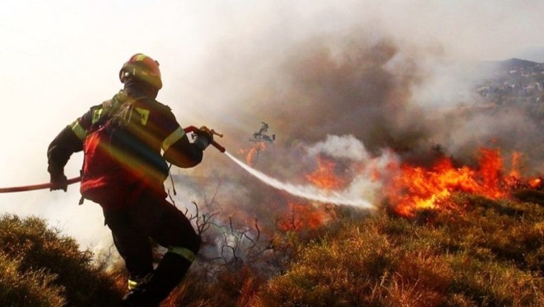 Πυρκαγιές σε Σπέτσες, Μεσσηνία και Βοιωτία