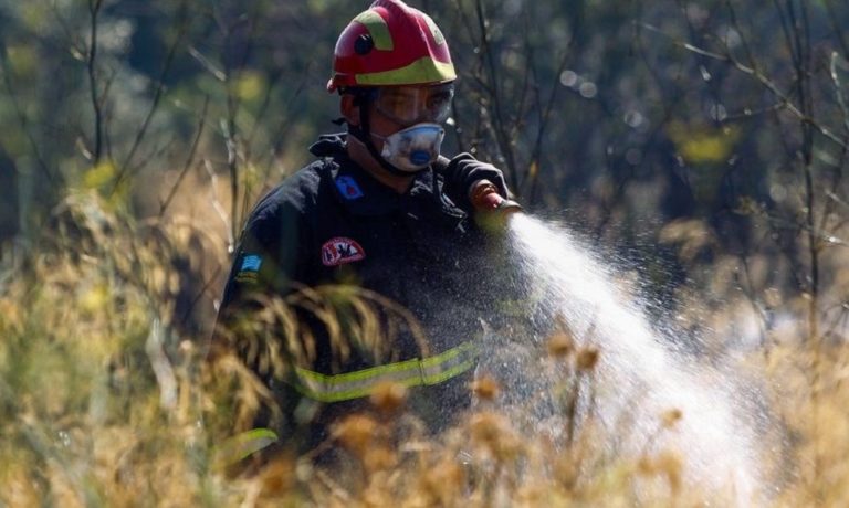 Χίος: Πυρκαγιά σε δασική έκταση