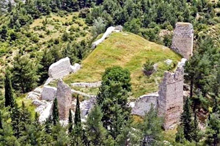 Κοζάνη: Προσβολή εντόμων στο δάσος του Κάστρου Σερβίων