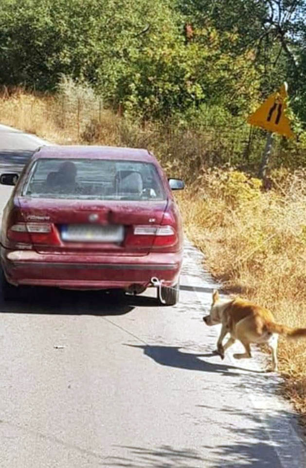 Κρήτη: Έδεσε σκύλο με σχοινί και τον έσερνε με το αυτοκίνητό του