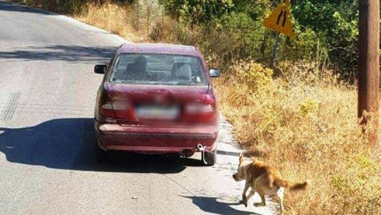 Σύλληψη για το σκυλί αλλά με υπεράσπιση